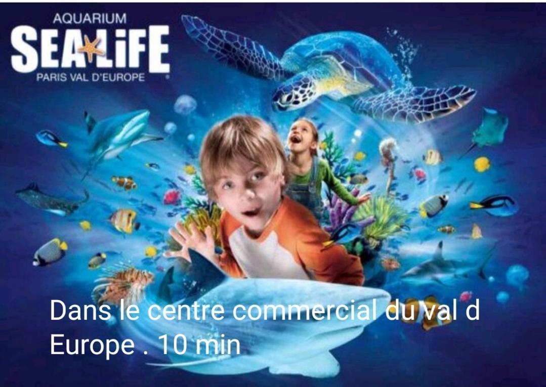 Jolie dépendance cosy et individuelle a 2 pas de Disneyland Chalifert Esterno foto